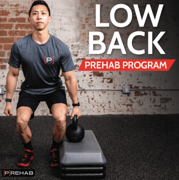 The Prehab Guys - LOW BACK [P]REHAB PROGRAM