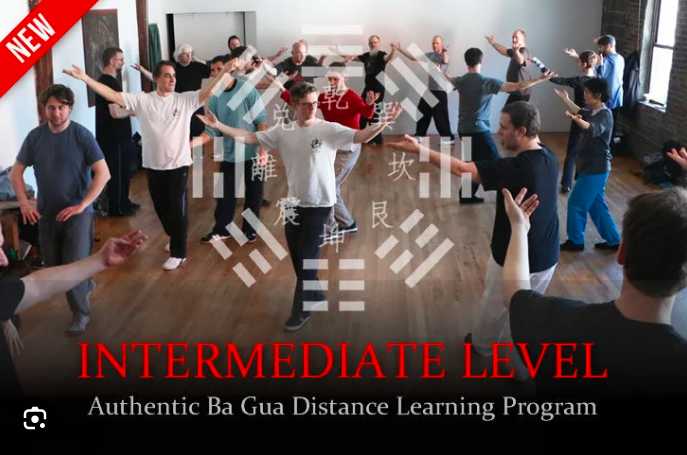 Tom Bisio - Intermediate Level of the Authentic Ba Gua Zhang