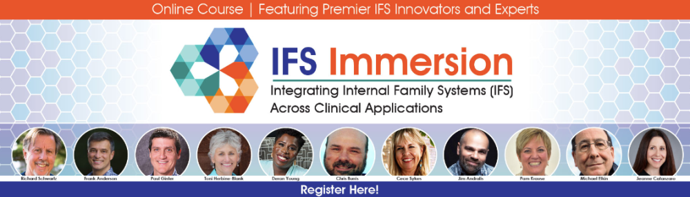 IFS Immersion Integrating Internal Family Systems (IFS) Across Clinical Applications