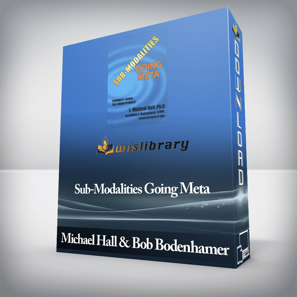 Michael Hall & Bob Bodenhamer - Sub-Modalities Going Meta