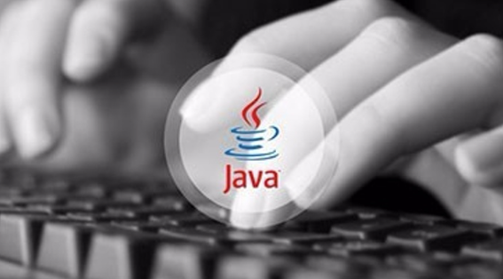 Stone River Elearning - Become a Professional Java Developer Bundle NEW!!!