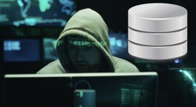 Stone River Elearning - Database Security for Cyber Professionals