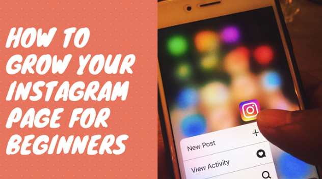 Stone River Elearning - How to Grow Your Instagram Page for Beginners