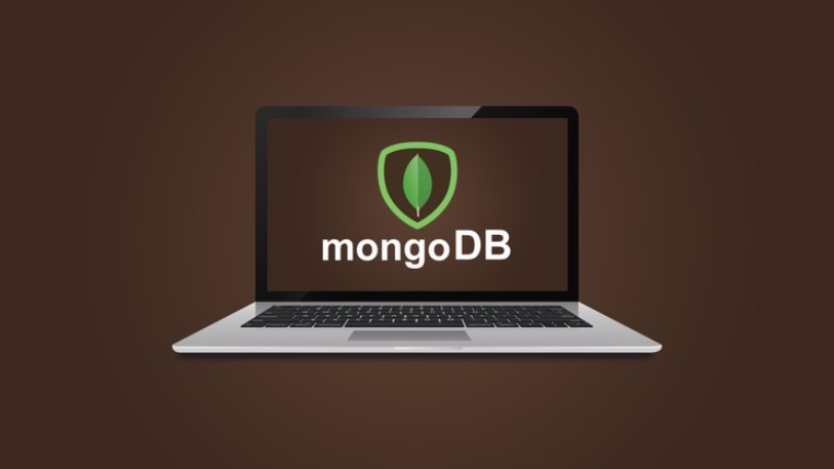 Stone River Elearning - Learn MongoDB From Scratch