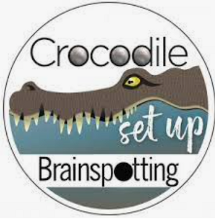 Roby Abeles - Brainspotting and Addictions with the Crocodile Set Up