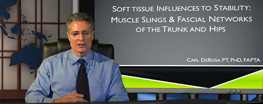 Carl DeRosa - Soft Tissue Influences to Stability: Muscle Slings & Fascial Networks of the Trunk and Hips