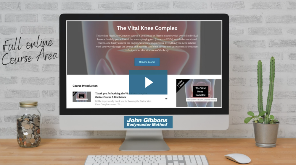 John Gibbons - The Vital Knee Complex