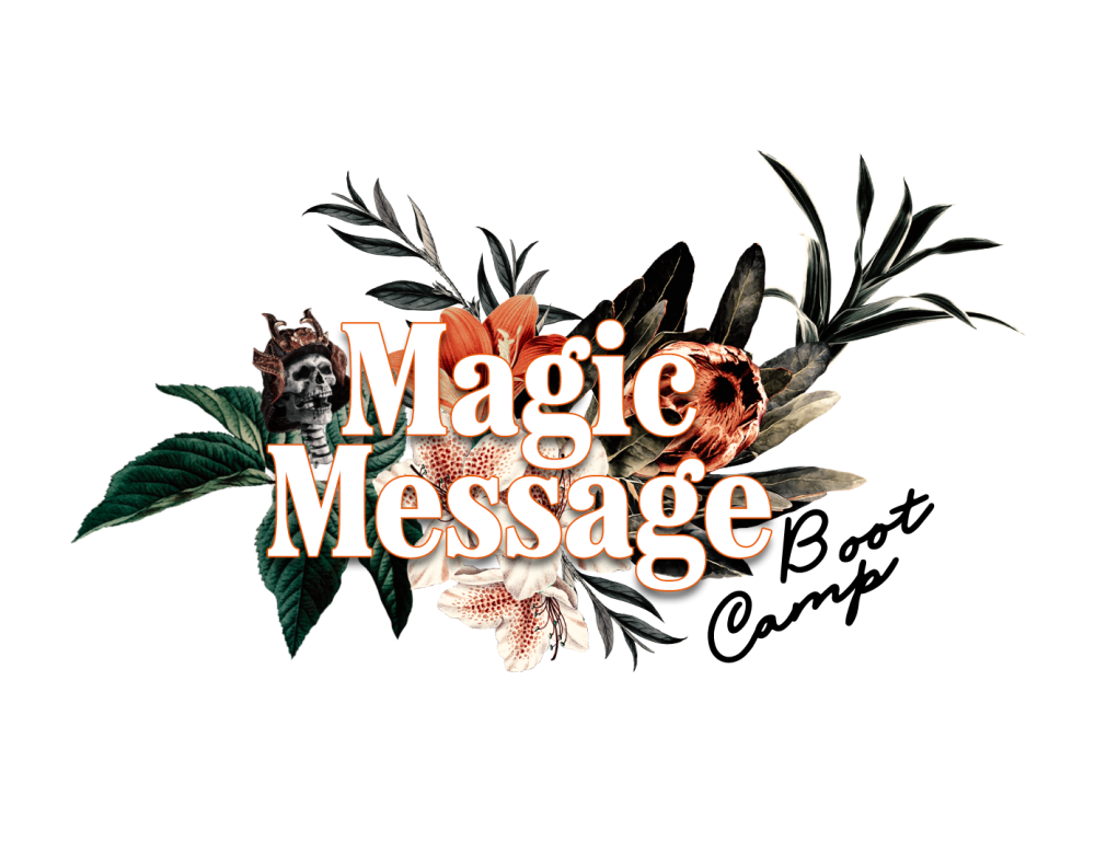 Ash Ambirge - The Meat & Hair Magic Message Bootcamp