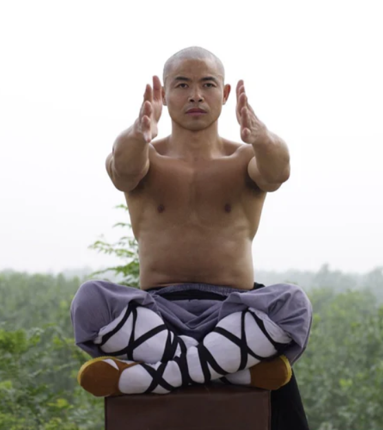 Xi Yan Lei - Sui Jing (Bone Marrow Cleansing) Qigong