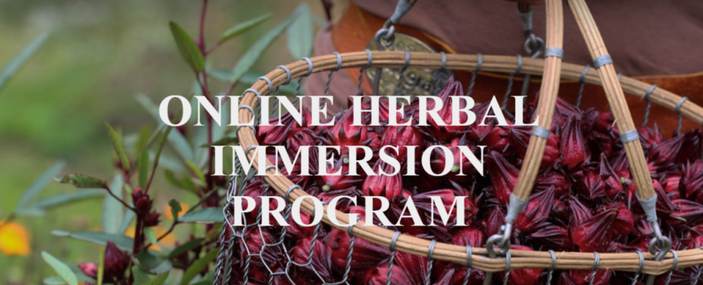 Juliet Blankespoor - ONLINE HERBAL IMMERSION PROGRAM