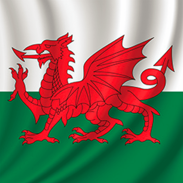 Centre of Excellence - Welsh for Beginners Diploma Course