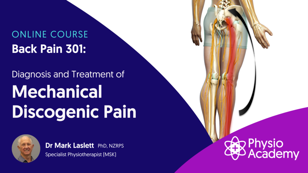 Mark Laslett - Back Pain 301 - Mechanical Discogenic Pain