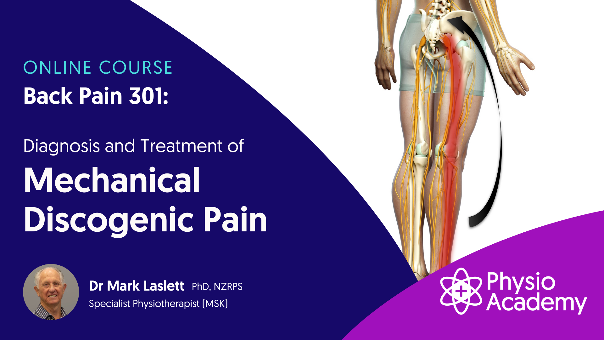 Mark Laslett - Back Pain 301 - Mechanical Discogenic Pain - Wisdom Library