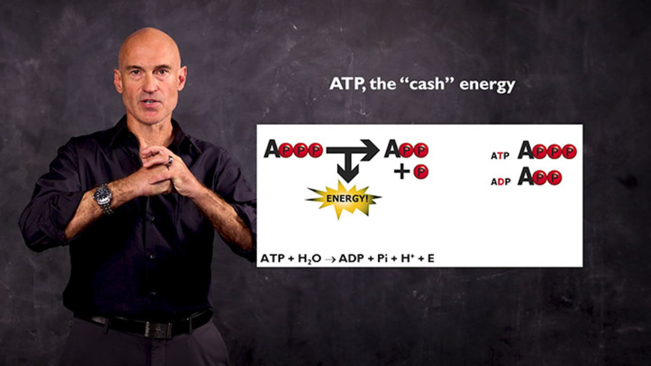 SHOP PROFESSIONAL SEMINARS STRONG ENDURANCE BY PAVEL SEOUL visual data 4