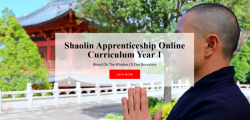 Shaolin Martial Arts - Shaoulin Apprenticeship Online Year 1