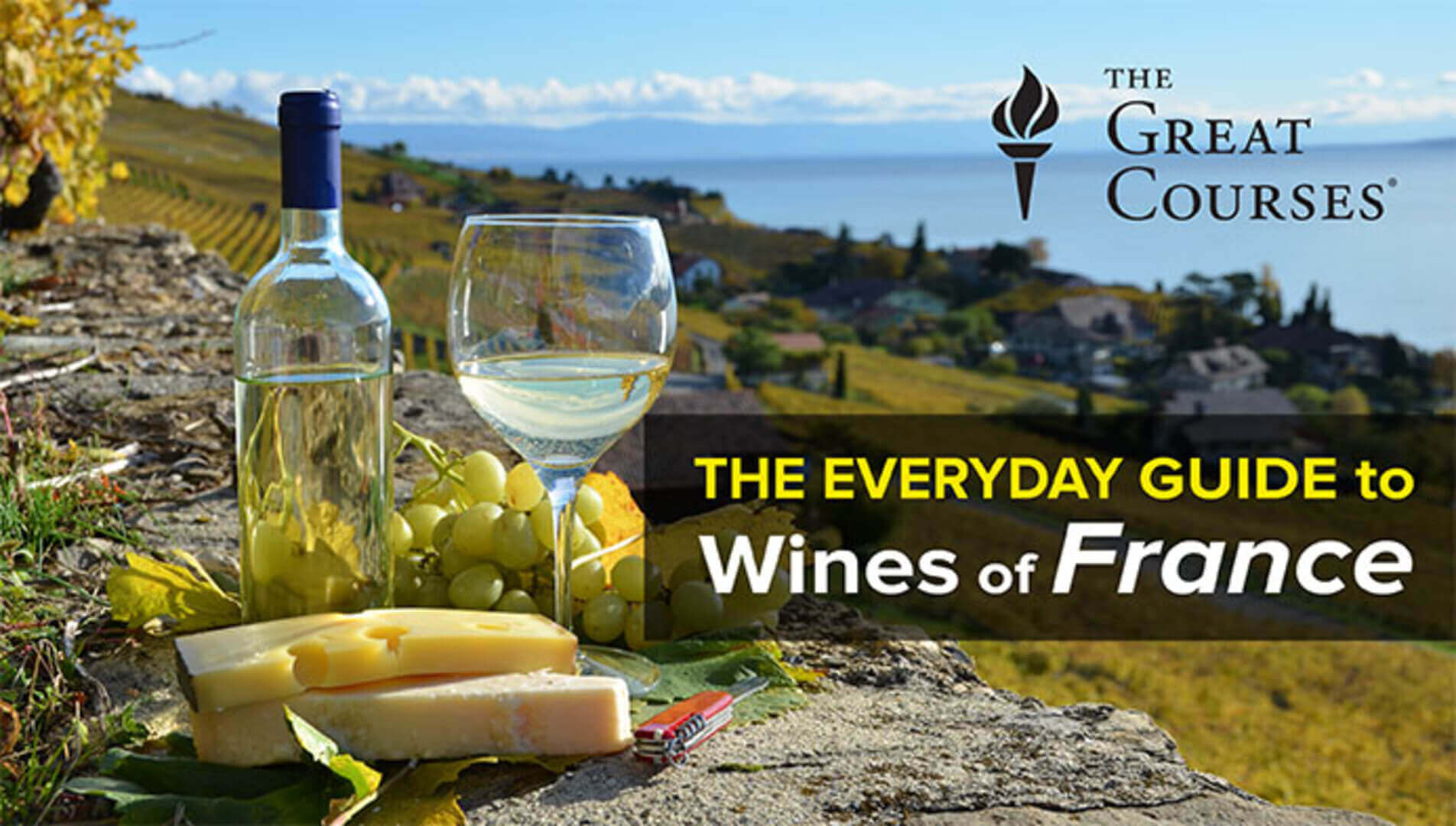 Jennifer Simonetti-Bryan - The Everyday Guide to Wines of France