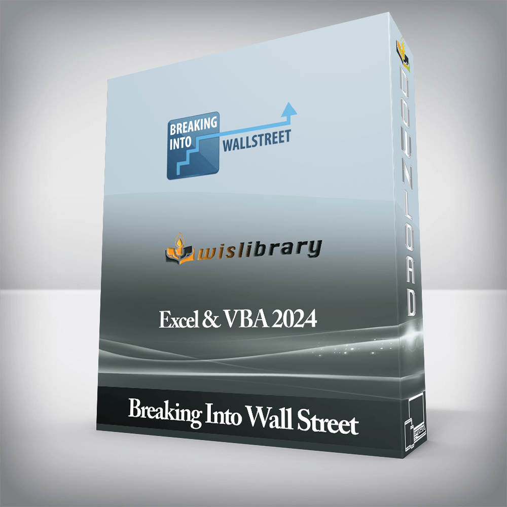 Breaking Into Wall Street - Excel & VBA 2024