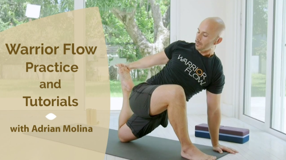 Adrian Molina - Warrior Flow Practice & Tutorials