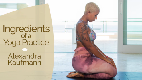 Alex Kaufmann - Ingredients for a Yoga Practice