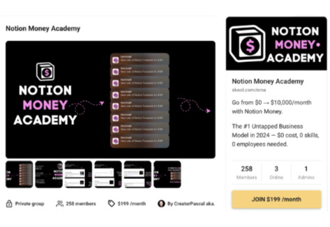 Creator Pascal - Notion Money Academy