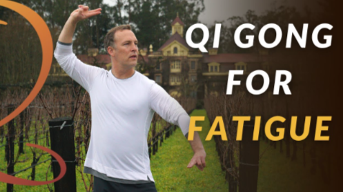 Lee Holden – Qi Gong for Fatigue 