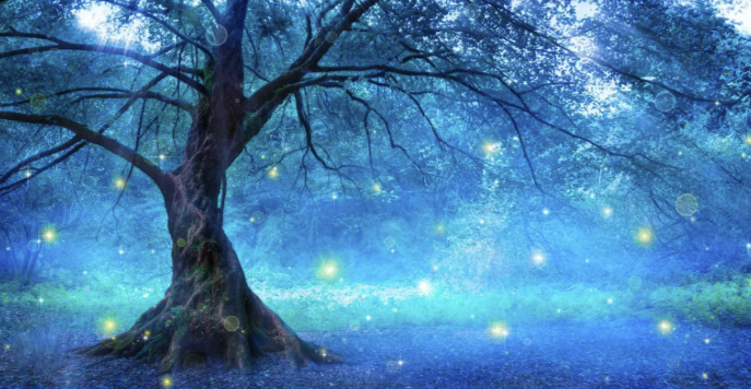 Centre of Excellence - Forest Folklore and Mythology Diploma Course