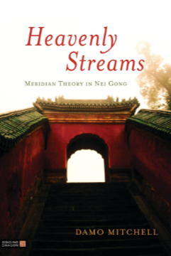 Damo Mitchell - Internal Arts Academy - Heavenly Streams