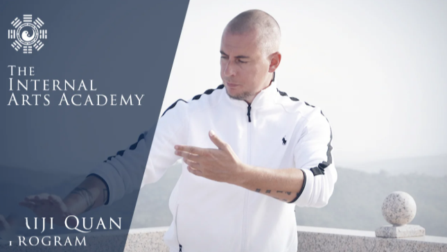 Damo Mitchell - Internal Arts Academy - Online Taiji Quan Program Year 3