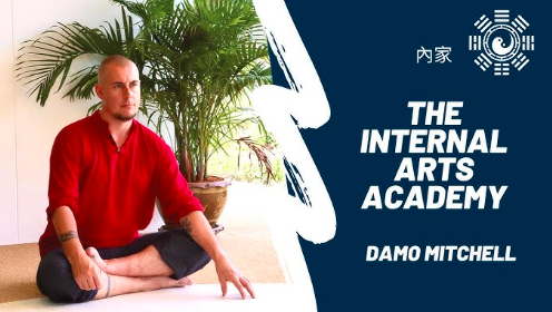 Damo Mitchell - Internal Arts Academy - Qi Gong Deviation