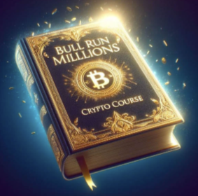 Daniel McEvoy - Dans Bull Run Millions Crypto Course