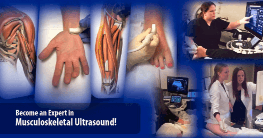 MSK Ultrasound MasterClass - Complete Path to Learn