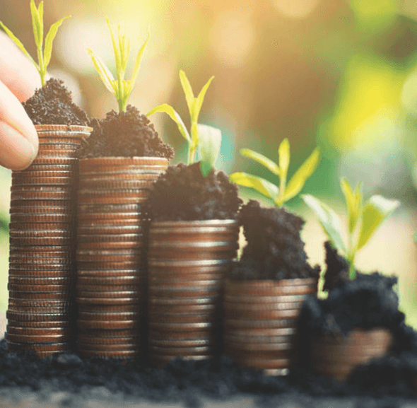 Sharon Lechter - Money Mastery Financial Literacy
