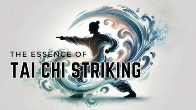 Shifu Lin - The Essence of Tai Chi Striking
