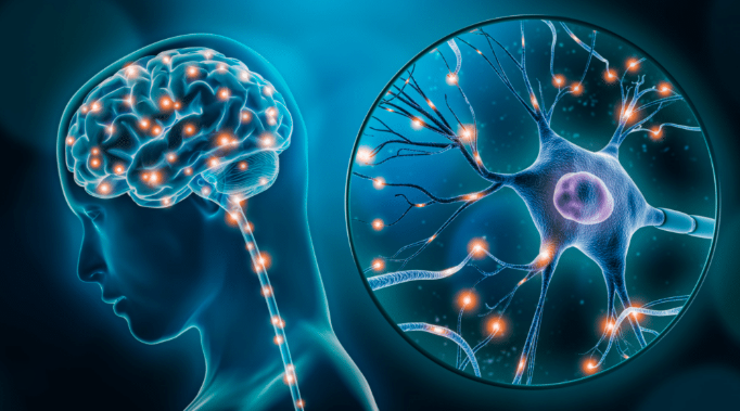 Tanya Zajdel - Brainspotting And EMDR For Healing Trauma