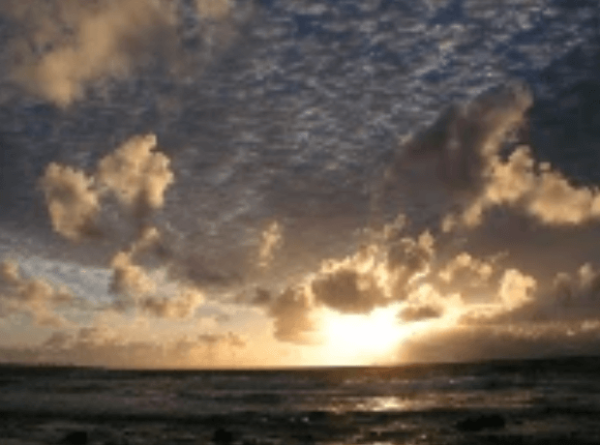 Rande Howell - Developing Traders State of Mind Group Course - At Your Own Pace Version!