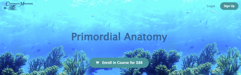 Emilie Conrad - Continuum Movement - Primordial Anatomy