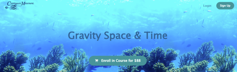 Emilie Conrad - Gravity Space & Time