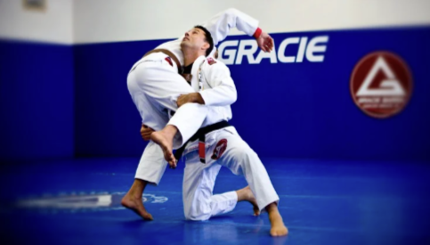 Felipe Guedes - The Most Important Techniques of Brazilian Jiu Jitsu