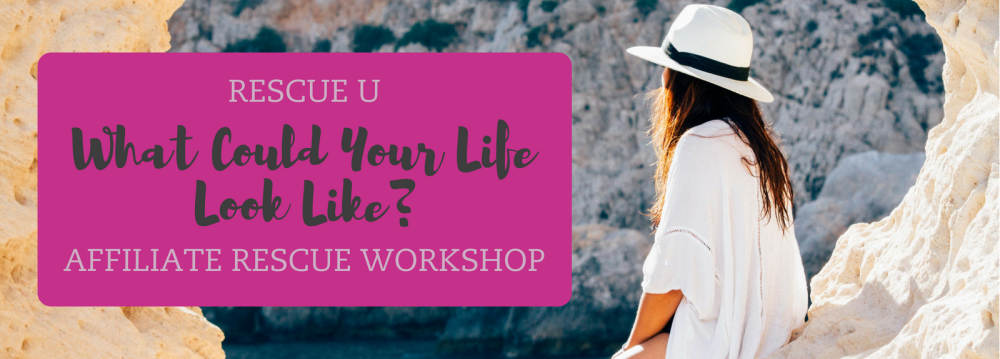 Megan Dixon - Affiliate Rescue Workshop