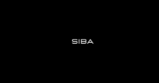 Salif Sibane - Siba Ecom Mastermind (9-Figure Ecom Creatives & Funnels Mastermind)