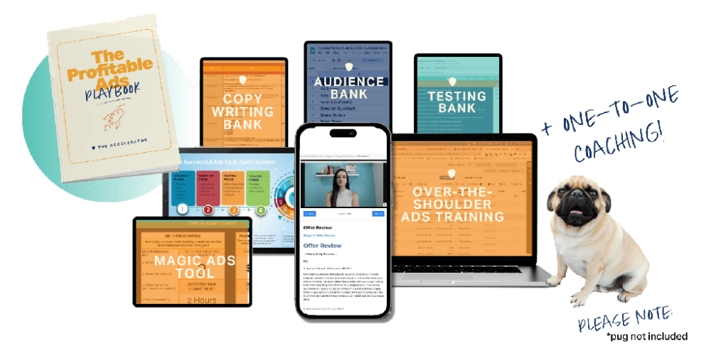 Tara Zirker - Successful Ads Lab