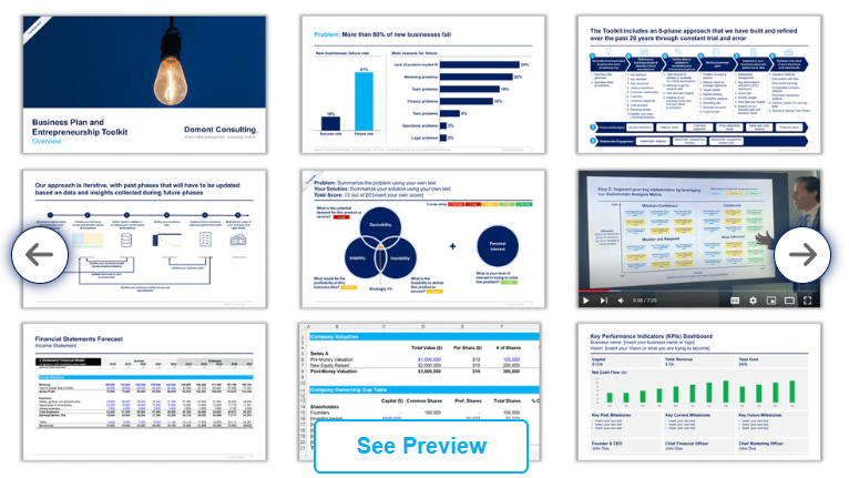 Domont Consulting - Business Plan and Entrepreneurship Toolkit