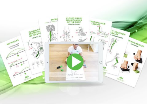 Gary Ward - Closed chain biomechanics of the Lower body