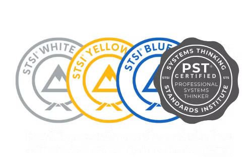 Systems Thinking Standards Institute - Blue Belt-PST