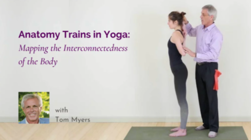 Tom Myers - Anatomy Trains® and Yoga