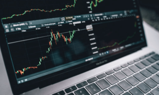 Trading Stable Workshop Course