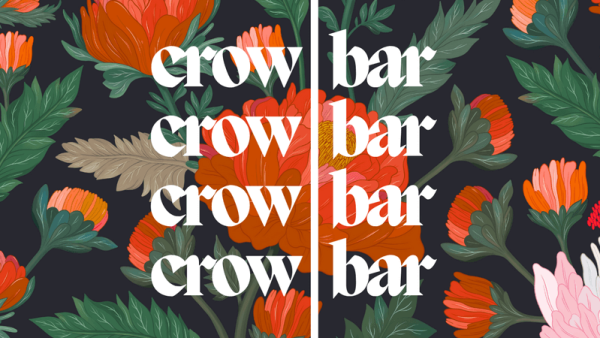 Ash Ambirge - The Crowbar Writing Workshop