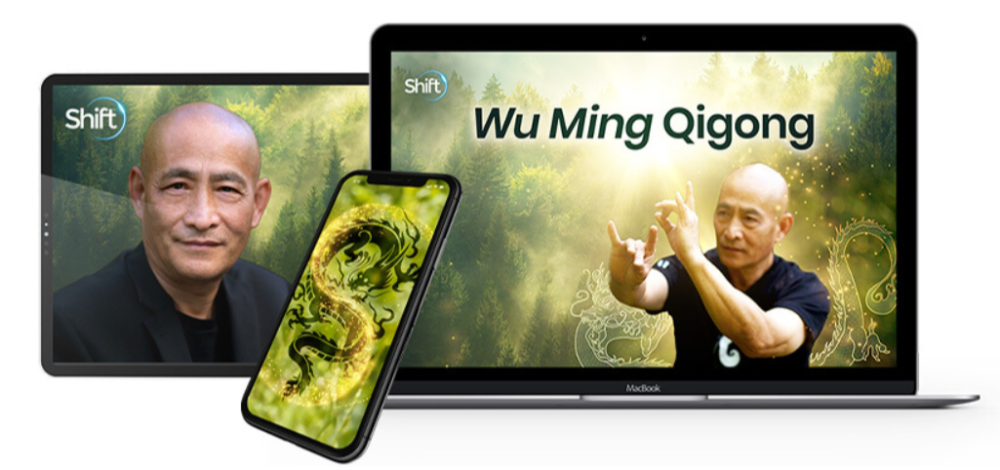 Grand Master Nan Lu - Wu Ming Qigong