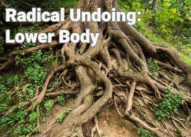 Command Z - Radical Undoing - Lower Body Training