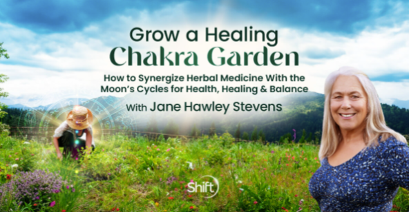 Jane Hawley Stevens - Grow a Healing Chakra Garden